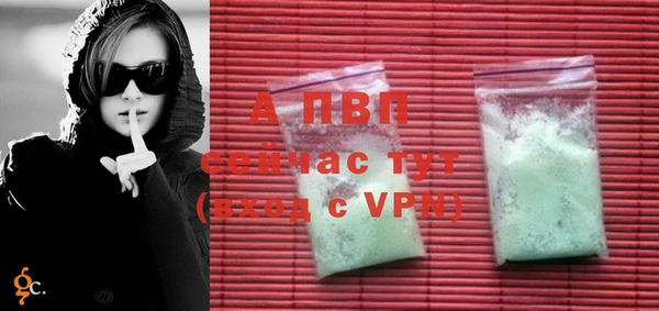 сатива Белоозёрский