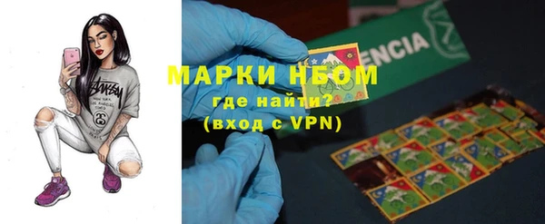 гашик Белокуриха