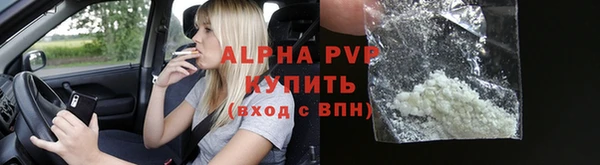 сатива Белоозёрский