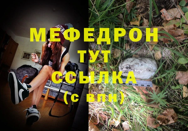 гашик Белокуриха