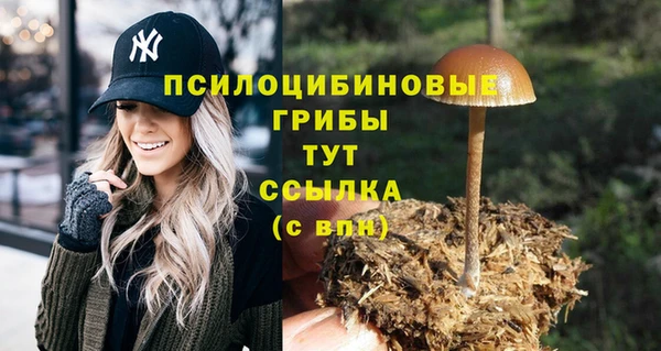 гашик Белокуриха