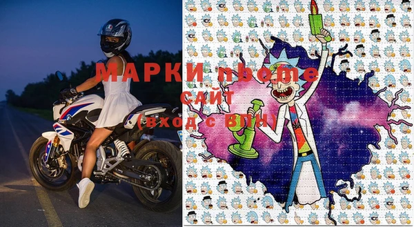 сатива Белоозёрский