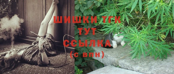 сатива Белоозёрский