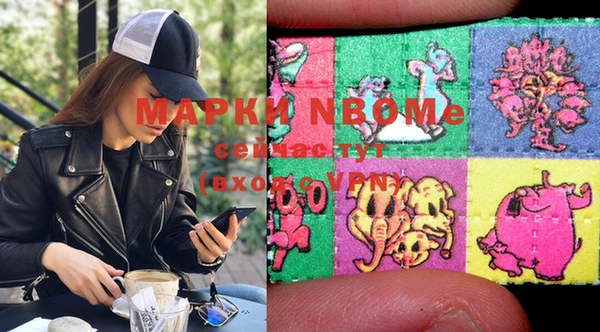 сатива Белоозёрский