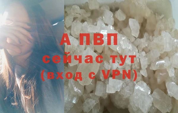 сатива Белоозёрский