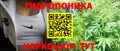 сатива Сланцы