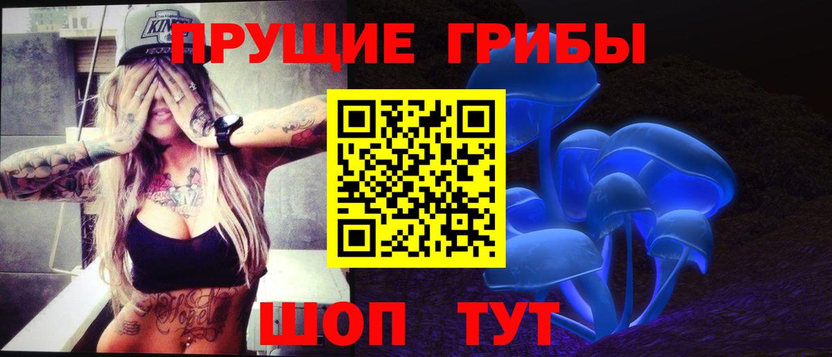 Псилоцибиновые грибы GOLDEN TEACHER Сланцы